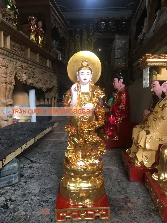 Mẫu Địa – mã TTP-022